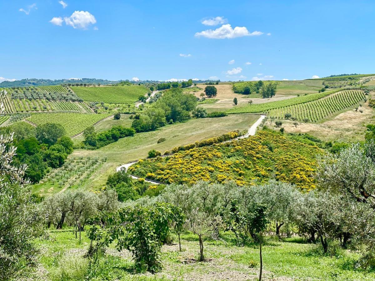 Aparthotel Agriturismo Le Masciare Paternopoli Exteriér fotografie