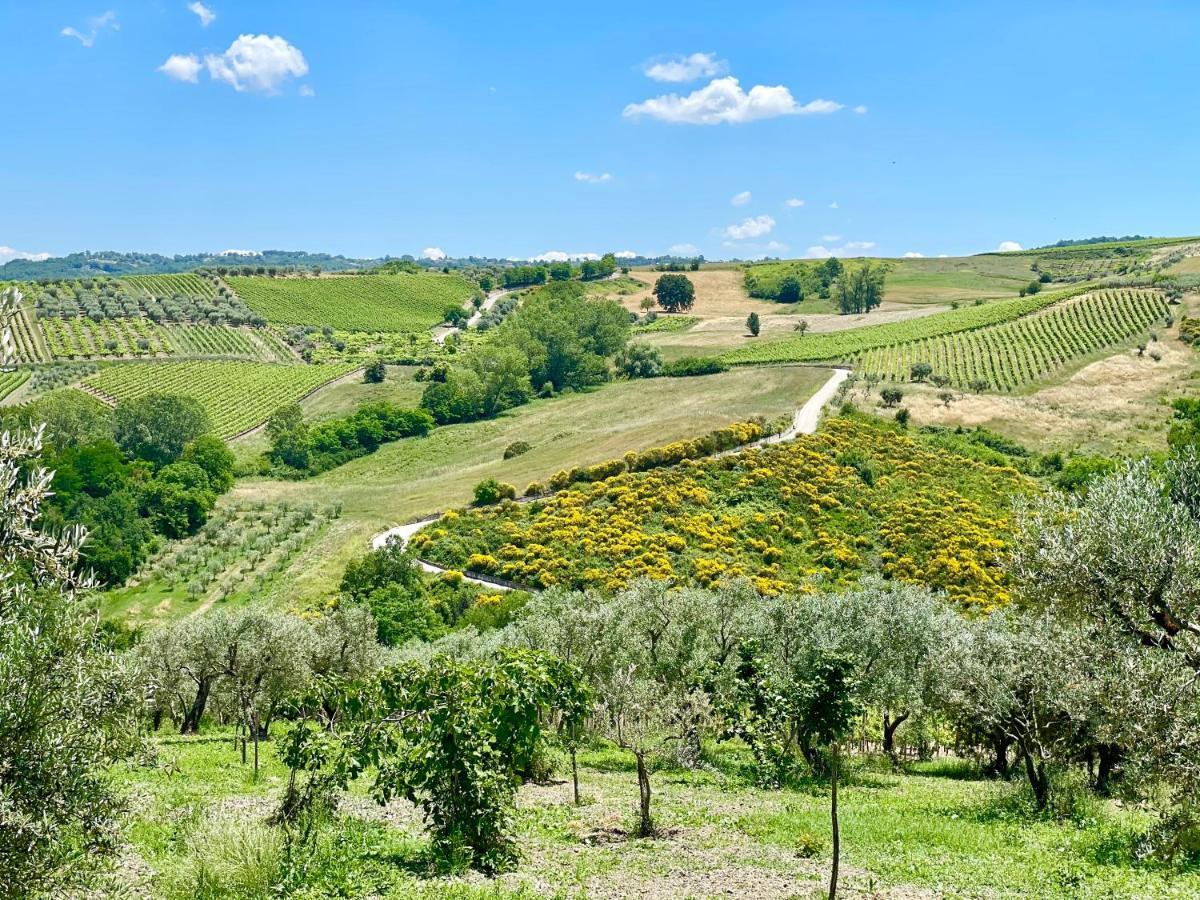 Agriturismo Le Masciare Paternopoli Exteriér fotografie