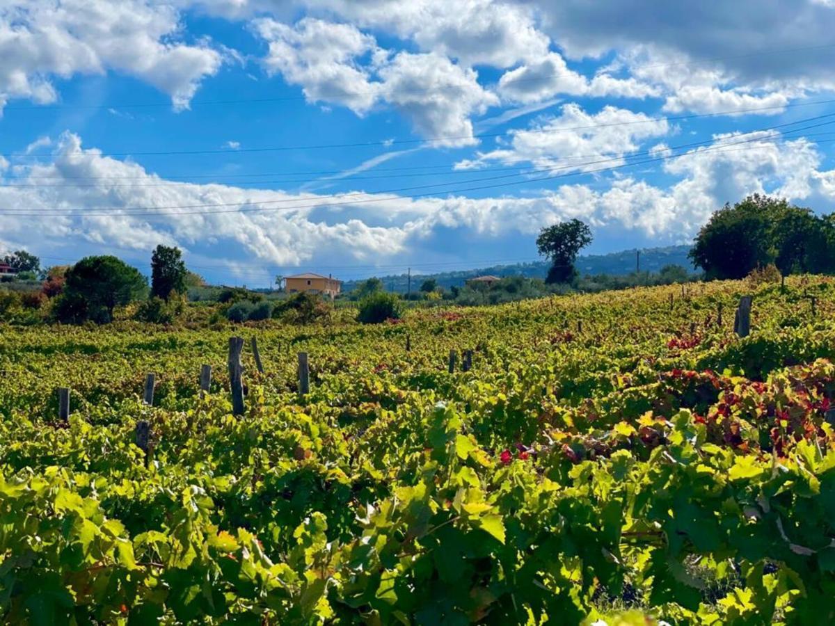Agriturismo Le Masciare Paternopoli Exteriér fotografie